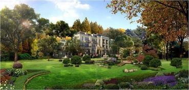 不動產理財新模式 讓置業與理財雙贏