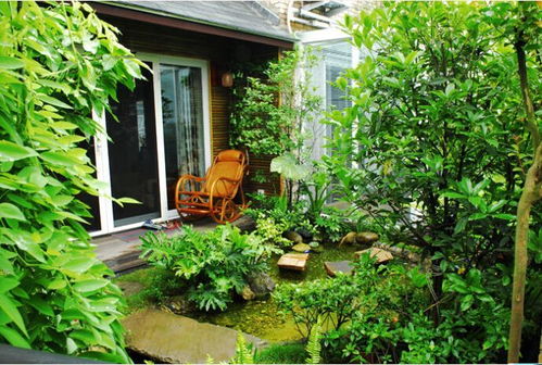 南京庭院設(shè)計中植物選擇的六大影響因素