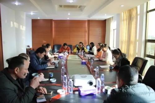 石壩鎮(zhèn)2018年“慶豐杯”迎春籃球賽賽前組織會議紀要